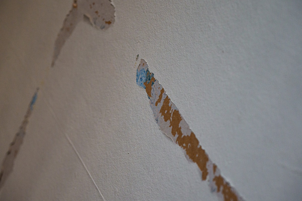 Water Extraction service in Severn, MD